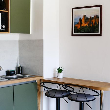 Studio Avec Parking Vue Sur La Cite De Каркассон Экстерьер фото